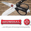 Mundial