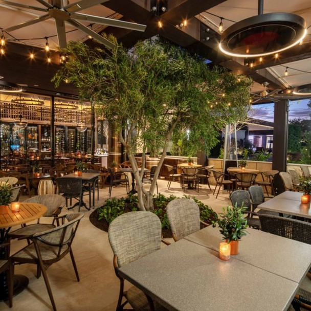 Affinity Control Eclipse Pendant 5CH