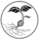 Seed Ranch