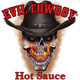Evil Cowboy