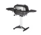 PK360 Grill & Smoker - Graphite