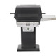 T30 Commercial Grill with Black Portable Patio Base by PGS Grills