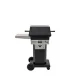 T30 Commercial Grill with In Ground Post by PGS Grills