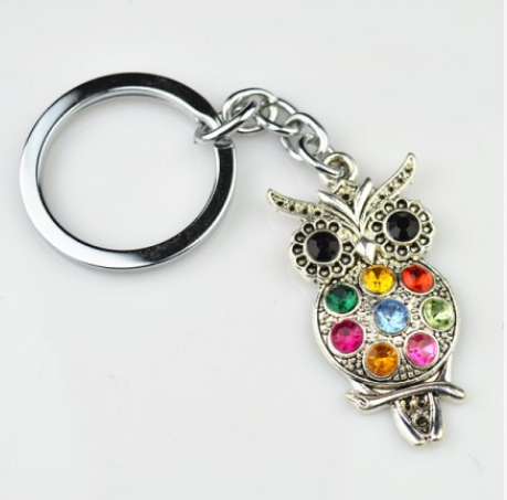 Colourful  Bomboniere Owl Keyring