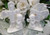 Bomboniere Ceramic Cross with Angel - Communion/Confirmation