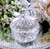 Bomboniere Glass Trinket