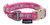 Touchdog 'Caliber' Designer Embroidered Fashion Pet Dog Leash And Collar Combination