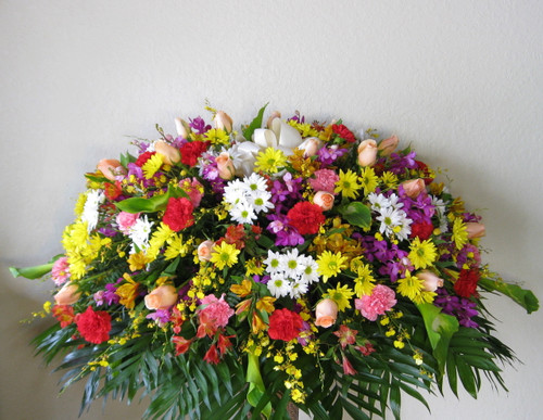 Colors vary with the seasons. 