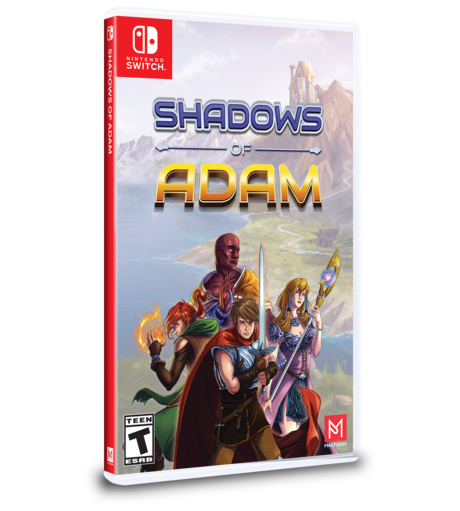 Nintendo Switch Nintendo Switch Games Switch Indie Games USED 