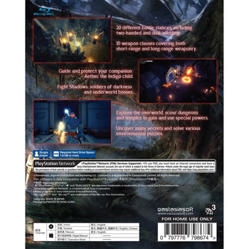 Fall of Light: Darkest Edition - Standard Edition PlayStation 4 Asian Version Fall of Light: Darkest Edition - Standard Edition PlayStation 4 Asian Version