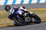 Graves Motorsports WORKS Chain Guard