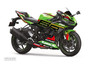 Graves Kawasaki ZX-6R OEM Bodywork Graphics Set - Green