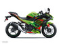 Graves Kawasaki Ninja 500 OEM Bodywork Graphics Set - Green