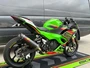 Graves Kawasaki Ninja 500 OEM Bodywork Graphics Set - Green