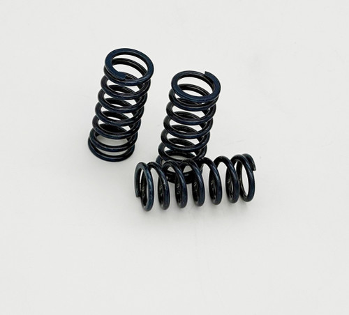 Kawasaki ZX-4RR / Ninja 500 WORKS Clutch Spring Kit