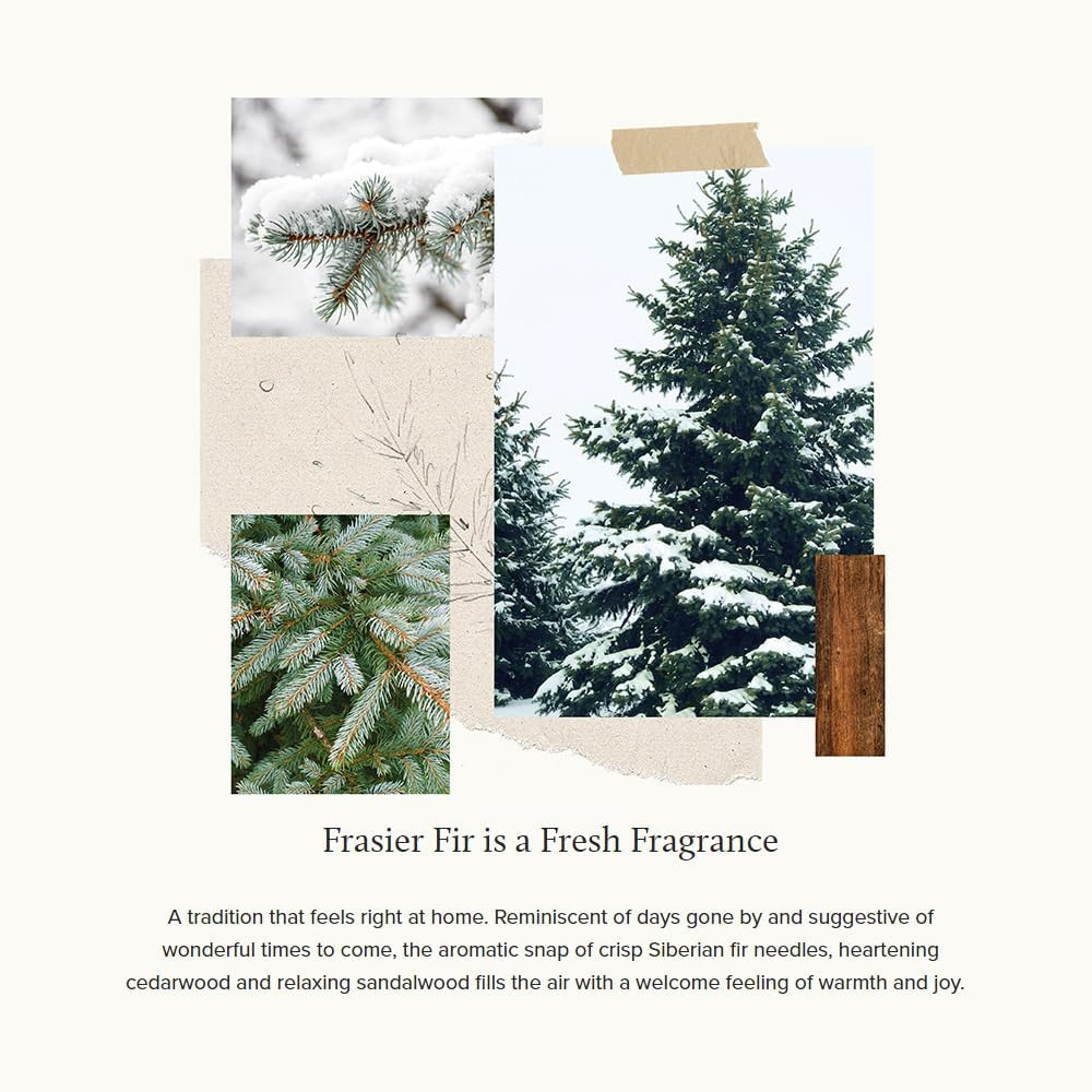 Thymes Frasier Fir Candle - Thumbnail 4