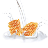 Key Ingredients of Cuccio Naturale Hydrating Dry Body Oil Milk & Honey 3.38 oz