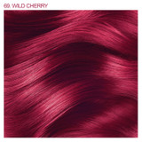 Adore Semi-Permanent Hair Color #069 Wild Cherry