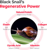 Black Snail's Regenerative Power