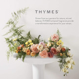 About Thymes Brand