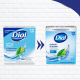 New Package of Dial Antibacterial Deodorant Spring Water Soap 12 Bars