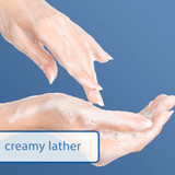 Creamy Lather of Dial Antibacterial Deodorant White Soap 12 Bars