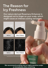 The Reason for Icy Freshness
