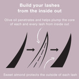 Build your Lashes from the Inside out