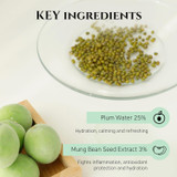 Natural herbal ingredients in Beauty of Joseon Green Plum Cleanser