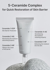 Celimax Dual Barrier Skin Wearable Cream 1.69 oz