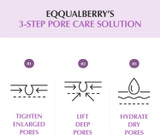 3 steps solutions of EQQUALBERRY Purple PDRN Pore Minimizing Serum