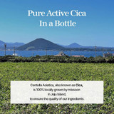 Centella Asiatica soothing essence