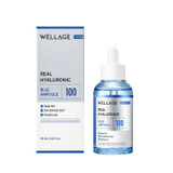 WELLAGE Real Hyaluronic Blue 100 Ampoule 60ml / 2.02 fl oz - image 1
