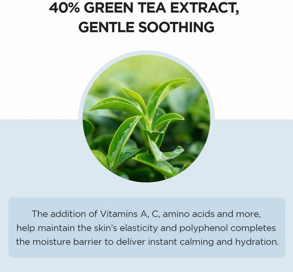 Ingredients flat lay: centella asiatica + hyaluronic acid focus.