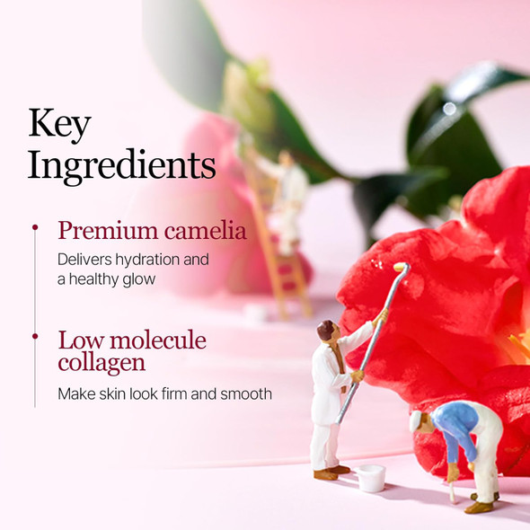Ingredients flat lay: camellia extract + hydrolyzed collagen.