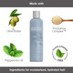 Ingredients of Abba Olive & Peppermint Moisture Shampoo 32 oz