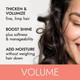 ION Volume Solutions Heat Activated Volume Builder Spray 8 Oz