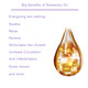 Big benefits of Gen'C Béauty 100% Organic Rosemary Essential Oil 