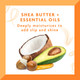 Main ingredients of Cantu Shea Butter Coconut Curling Cream 25 oz