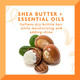 Feature of shea butter essential oils