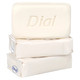 Textures of Dial Antibacterial Deodorant Spring Water Soap 12 Bars