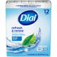 Dial Antibacterial Deodorant Spring Water Soap 12 Bars