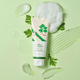 Round Lab Mugwort Calming Cleanser 5.07 oz