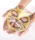 Skin79 Animal Face Mask Cat sachet, soothing (back)