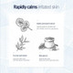 Infographic showing how Pyunkang Yul Low pH Cleanser clears pores without stripping moisture