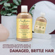 Strengthen Damaged, Brittle Hair of Shea Moisture Jamaican Black Castor Oil Strengthen & Restore Conditioner 13 oz