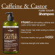 Hair Chemist limited Shampoo & Conditioner Kit
