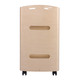 Gen'C Béauty Professional Wood Grain Salon Trolley with Drawer