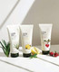 The Face Shop Herb Day 365 Master Blending Cleansing Foam 170 ml / 5.7 oz