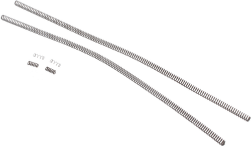 Spring Kit | 22 AR Conversion | 22ARC